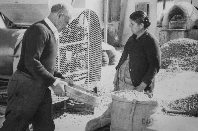 Ζορπάς ξηροί καρποί