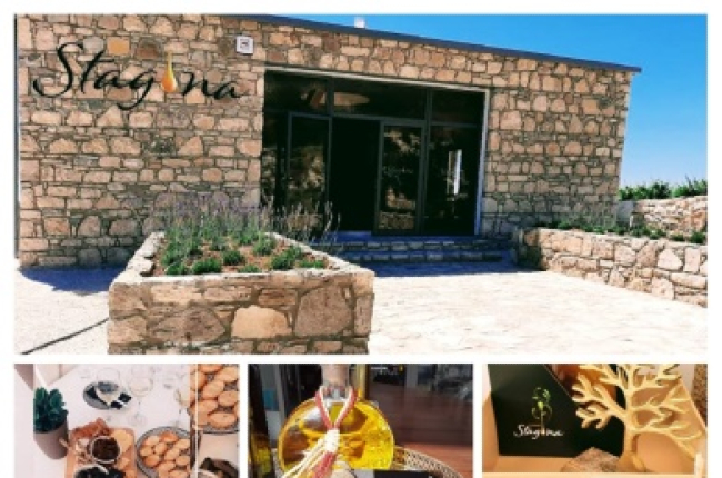 Ελαιώνες Σταγόνα