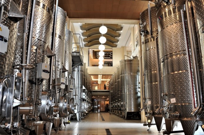 Οινοποιείο Οίνου Γη – Κτήμα Βασιλειάδη