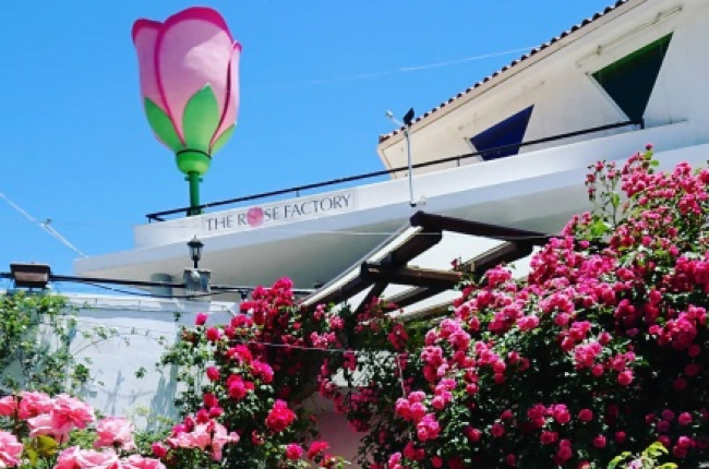 Τριανταφύλλων εργοστάσιο