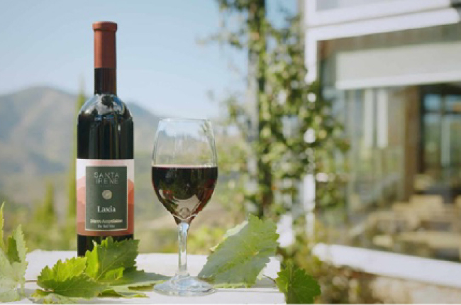 Οινοποιείο Santa Irene