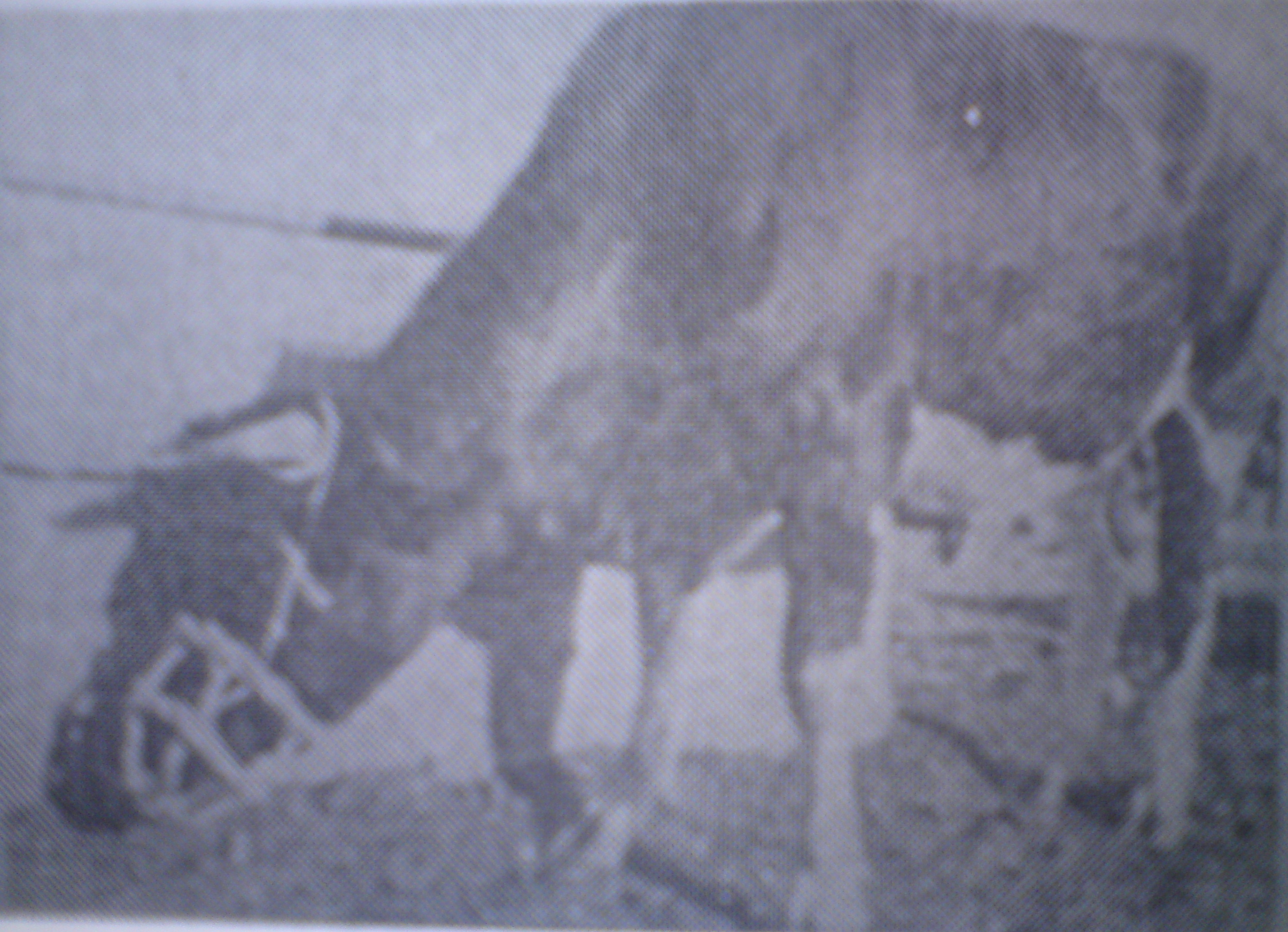 Φίμωτρο. Copyright Δημοτικό Σχολείο Ορούντας (1993) Η Ορούντα, 73 