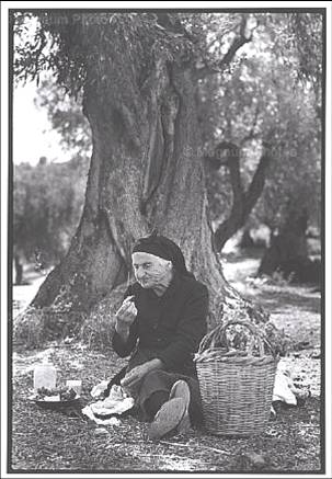 «Κολατσιό στον Ελαιώνα, 1962»