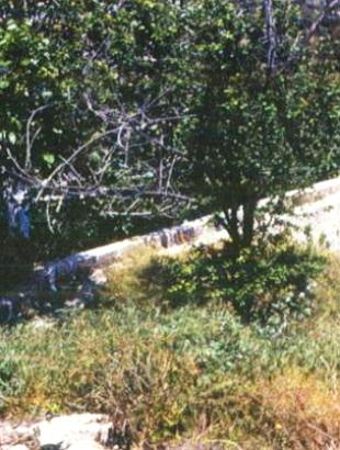 Ο μύλος του Χατζηγιώρκη, Κρίτου Τέρρα