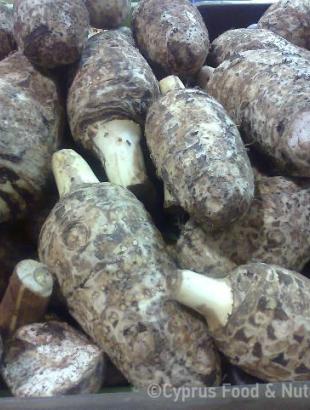 Κολοκάσι. &lt;br/&gt; Πηγή: Στάλω Λαζάρου.