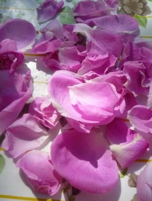 2. Βγάζουμε τα πέταλα. &lt;br/&gt; Πηγή: http://bougepas.blogspot.gr &lt;br/&gt;http://amateurdecuisine.blogspot.gr