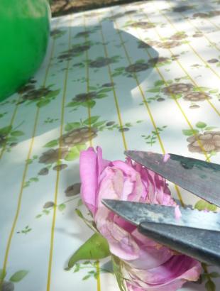 4. Τεμαχίζουμε τα πέταλα. &lt;br/&gt; Πηγή: http://bougepas.blogspot.gr &lt;br/&gt;http://amateurdecuisine.blogspot.gr