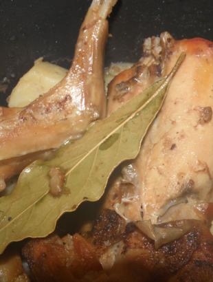 Κουνέλι. Ύψωνας, 26/4/14. &lt;br/&gt; Πηγή: Ελίνα Χριστοφόρου Νεοφύτου.