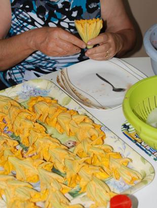 Κάθε ανθός ανοίγεται προσεκτικά. &lt;br/&gt; Πηγή: Γ. Γρούτας.