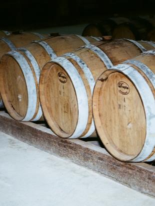 Ξύλινα βαρέλια με κρασί, σε κάβα.