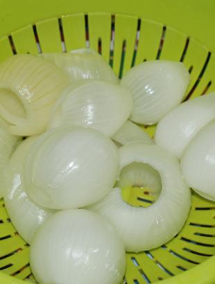 Ανοιγμένα κρεμμυδόφυλλα, έτοιμα για γέμισμα. &lt;br/&gt; Πηγή: Γ. Γρούτας.