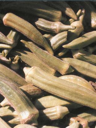 Μπάμιες. &lt;br/&gt; Άδεια δημοσίευσης: Υπουργείο Γεωργίας.