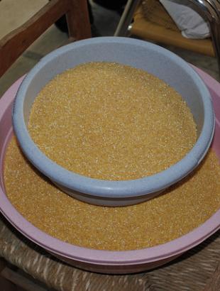 Ετοιμάζουμε το κονάρι. &lt;br/&gt; Πηγή: Γ. Γρούτας.