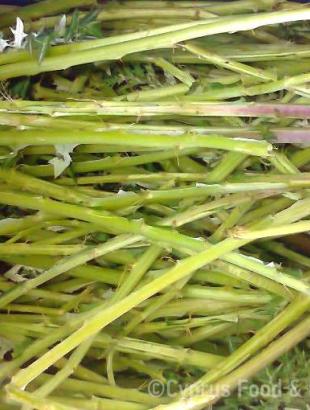 Χωστές φρέσκες. &lt;br/&gt; Πηγή: Στάλω Λαζάρου.