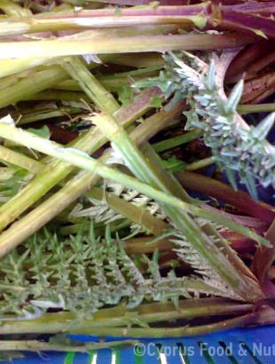 Χωστές φρέσκες.