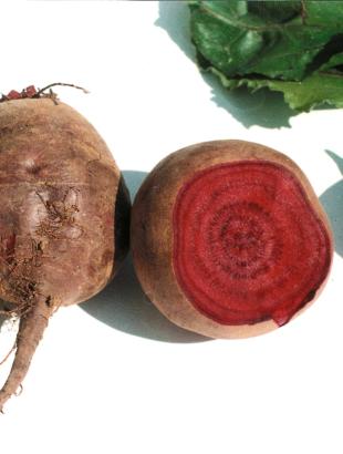 Παντζάρια. &lt;br/&gt; Άδεια δημοσίευσης: Υπουργείο Γεωργίας.