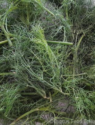 Μάραθος. &lt;br/&gt; Πηγή: Στάλω Λαζάρου.