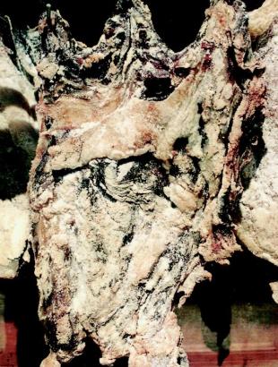 Απόχτιν. &lt;br/&gt; Άδεια δημοσίευσης: Υπουργείο Γεωργίας.