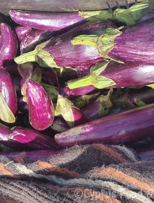 Βαζάνια (μελιτζάνες).