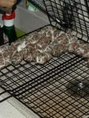 Τοποθέτηση σε σχάρα για ψήσιμο. &lt;br/&gt; Πηγή: http://kypriakes-syntages.blogspot.com