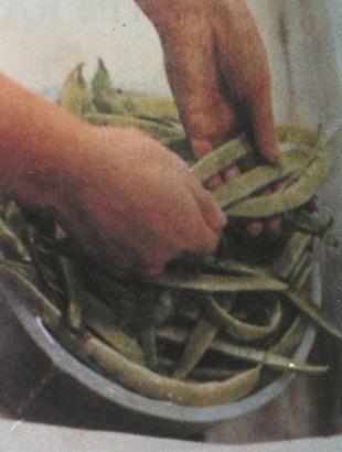 Στάδιο (β)- Προεργασία: Πλύσιμο