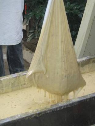 Κουλιάζουν (στραγγίζουν) την πίσσα μέσα στο σακούλι. Φωτ. Γ. Γαβριήλ, 2005.