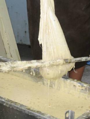 Ποσφίγγουν (στίβουν) την πίσσα, πιέζοντας το σακούλι με ξύλα. Φωτ. Γ. Γαβριήλ, 2005.