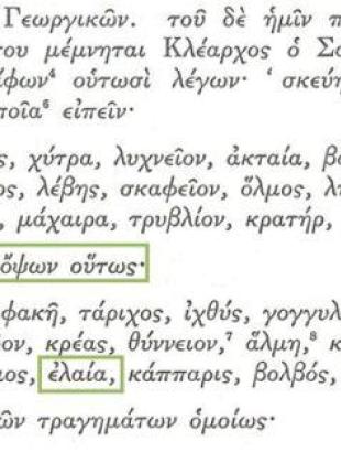 ΚΕΙΜ.2: Αναφορά Κλεάρχου του Σολέως στην 'ἐλαία'