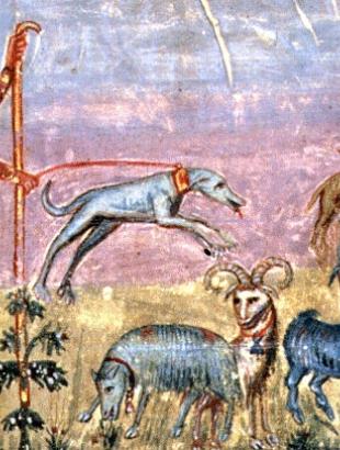 Σκηνή κυνηγιού. Μικρογραφία χειρογράφου, τέλη 11ου αιώνα. Σινά, Μονή Αγίας Αικατερίνης, κώδ. 3 (Iώβ), φ 8α.