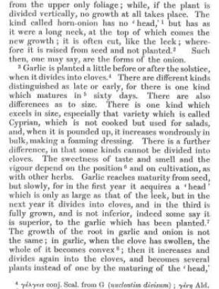 Antiskorodon or Kyprion