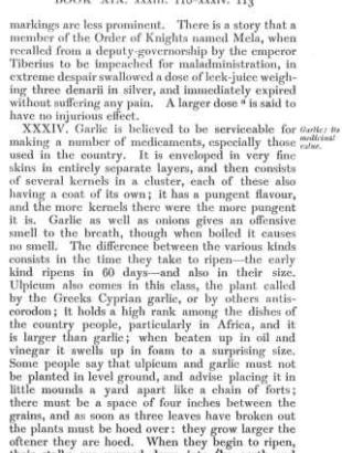 Antiskorodon or Kyprion