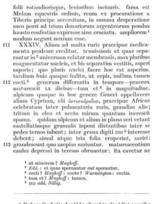 Antiskorodon or Kyprion