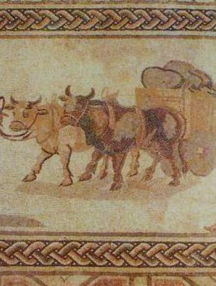 EIK.4 Ψηφιδωτό στην &amp;#039;Οικία του Διόνυσου&amp;#039; (Michaelides 1992, 36)