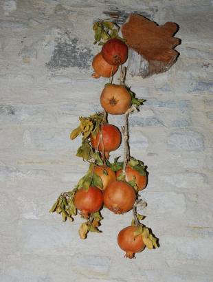 Ρόδια, σύμβολο γονιμότητας, Κάτω Δρυς 2014.