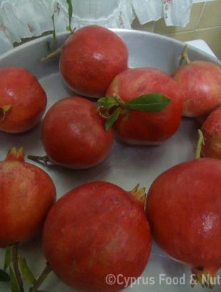 Ρόδια © Βαρβάρα Γιάγκου