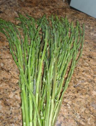 Αγρέλια &lt;br/&gt; Πηγή: Χριστίνα Χριστοφή