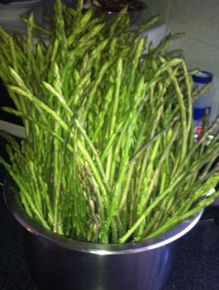 Αγρέλια &lt;br/&gt; Πηγή: Ηλίας Μανιταράς