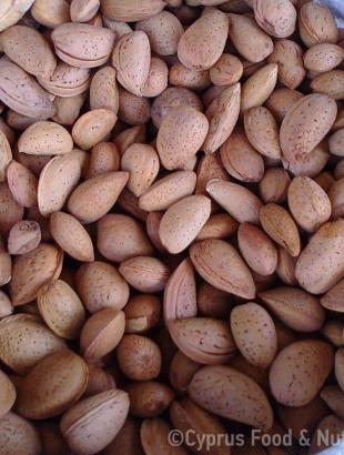 Αμύγδαλα με κέλυφος