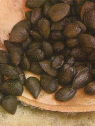 Φορτίο με αμύγδαλα από το &amp;#039;καράβι της Κερύνειας&amp;#039; 310-300 π.Χ.