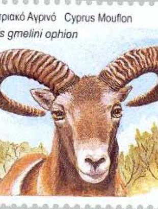 Απεικόνιση αγρινού σε κυπριακό γραμματόσημο.