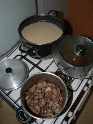 Ampelopoul(l)in - blackcap