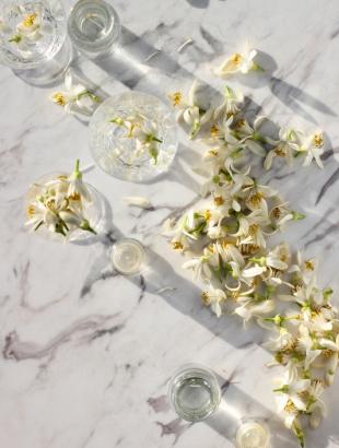 Φτιάχνοντας ανθόνερο από άνθη πορτοκαλιάς, 2014. &lt;br/&gt; Πηγή: Christina Loucas.