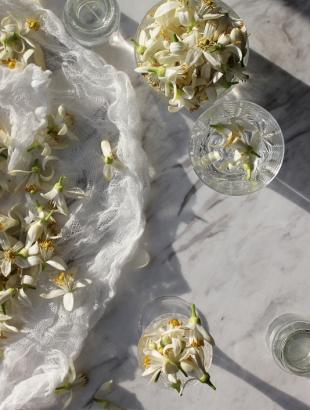 Ανθόνερο από άνθη πορτοκαλιάς. Η φωτογραφία λήφθηκε κατά το στάδιο της προετοιμασίας, όπου είναι εξαιρετικά σημαντικό να συλλεχθούν τα άνθη που βρίσκονται σε πλήρη άνθηση. Μοιρίζουν τόσο υπέροχα ώστε νομίζεις ότι μπορείς απλά να τα τοποθετήσεις μέσα στο νερό και να γίνει το ανθόνερο, αλλά δεν είναι τόσο απλό! 2014 &lt;br/&gt; Πηγή: Christina Loucas.