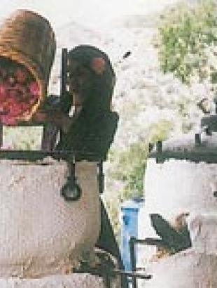 http://www.agros.org.cy/tradition_products_rosewater.shtm