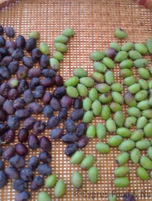 Ελιές μαύρες και πράσινες σε κόσκινο, μετά τη συγκομιδή τους &lt;br/&gt; Πηγή: Στάλω Λαζάρου