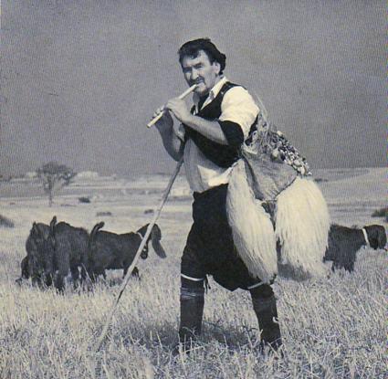 Παραδοσιακός βοσκός