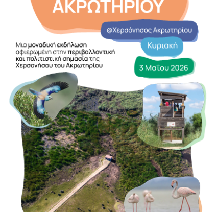 Akrotiri Spring Festival 2026 - Cyprus food museum 