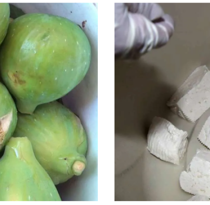 Fig & Halitzi