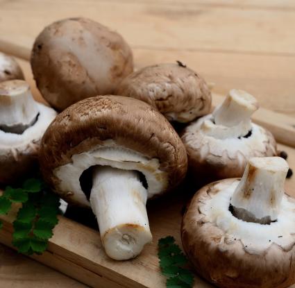 mushroom 
