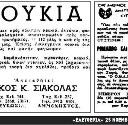 Κουκιά